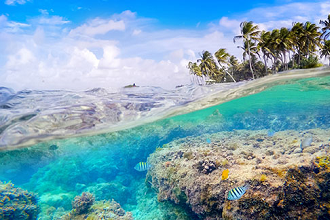 Antilles Antilles